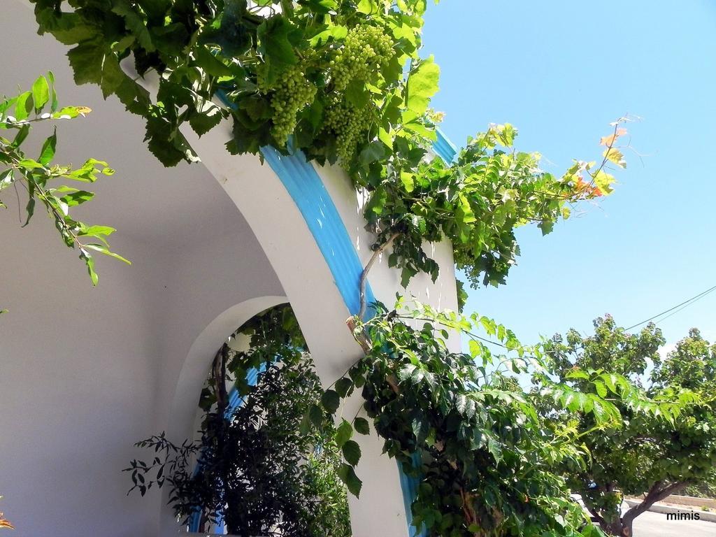 Mihalis Studios Lakki  Rom bilde